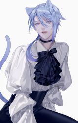 Rule 34 | 1boy, animal ear fluff, animal ears, black choker, blue eyes, blue hair, cat boy, cat ears, cat tail, choker, genshin impact, hair between eyes, highres, kamisato ayato, kodona, lolita fashion, long hair, long sleeves, looking at viewer, male focus, mole, mole under mouth, open mouth, puffy sleeves, solo, tail, to e, upper body, white background