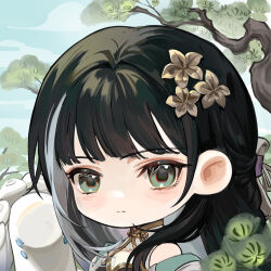 Rule 34 | 1girl, absurdres, bailian (wuthering waves), bare shoulders, black hair, chibi, chinese clothes, cloud, expressionless, green eyes, hair ornament, hairclip, highres, looking at viewer, sky, tree, wuthering waves, yuden6969