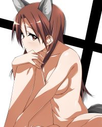 Rule 34 | 1girl, animal ears, breasts, brown eyes, brown hair, dog ears, glance, head on knee, highres, knee up, long hair, looking at viewer, medium breasts, minna-dietlinde wilcke, nude, simple background, sitting, solo, strike witches, tail, tokiani, world witches series