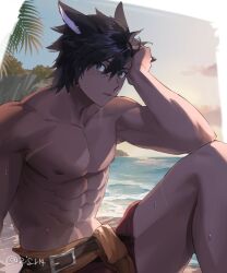 Rule 34 | 1boy, abs, animal ears, beach, belt, black hair, border, cat boy, cat ears, character request, cliff, cloud, copyright request, dilated pupils, feet out of frame, hand in own hair, highres, looking at viewer, male focus, medium hair, mn (zig r14), muscular, muscular male, nipples, ocean, outdoors, palm tree, parted lips, pectorals, slit pupils, solo, topless male, tree, upper body, water drop, wet, wet hair, white border