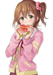 Rule 34 | 1girl, bad id, bad pixiv id, blush, brown hair, buttons, collared shirt, commentary request, hair between eyes, hair ornament, hair scrunchie, hairclip, hands up, head tilt, heart, holding, idolmaster, idolmaster million live!, jacket, kasuga mirai, long hair, long sleeves, looking at viewer, neck ribbon, pink jacket, pink scrunchie, plaid, plaid skirt, pleated skirt, red ribbon, red skirt, ribbon, scrunchie, shirt, side ponytail, sidelocks, simple background, skirt, solo, tareme, upper body, white background, white shirt, yellow eyes, yoropa