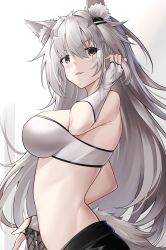Rule 34 | 1girl, absurdres, animal ear fluff, animal ears, arknights, bad id, bad pixiv id, bandeau, bare shoulders, blush, breasts, commentary, fang, fingerless gloves, gloves, grey eyes, hair ornament, hairclip, hand up, highres, lappland (arknights), large breasts, long hair, looking at viewer, midriff, parted lips, scar, scar across eye, scar on face, silver hair, smile, solo, strapless, tail, tube top, upper body, v-shaped eyebrows, very long hair, white gloves, wolf ears, wolf tail, yan lie