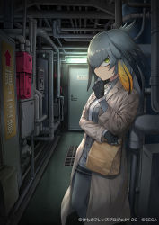 Rule 34 | 1girl, black gloves, black hair, blonde hair, closed mouth, coat, commentary request, gloves, green eyes, grey hair, grey legwear, grey shirt, grey shorts, guchico, head wings, indoors, kemono friends, kemono friends 3, long sleeves, looking at viewer, multicolored hair, necktie, official art, shirt, shoebill (kemono friends), shorts, solo, standing, white necktie, wings