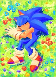 Rule 34 | 1boy, absurdres, animal ears, animal nose, closed eyes, closed mouth, commentary, flower, from above, full body, furry, furry male, gloves, highres, lying, male focus, on grass, on ground, on side, red footwear, shoes, sleeping, solo, sonic (series), sonic the hedgehog, symbol-only commentary, tail, white gloves, yangfaa sonic