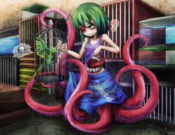 Rule 34 | 1girl, bird, birdcage, burn scar, cage, green hair, grey eyes, heart, monster, monster girl, name tag, parakeet, ray-k, scar, scylla, skull and crossbones, spoken heart, stitches, stomach mouth, tentacles, tongue, you gonna get raped