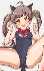 Rule 34 | 1girl, animal ears, bad id, bad pixiv id, blue one-piece swimsuit, brown eyes, brown hair, butt plug, covered navel, dog ears, dog tail, green ribbon, hair ornament, hair ribbon, hakozaki serika, idolmaster, idolmaster million live!, idolmaster million live! theater days, long hair, name tag, naruse nagi, old school swimsuit, one-piece swimsuit, open mouth, red scarf, ribbon, scarf, school swimsuit, sex toy, spread legs, swimsuit, tail, twintails