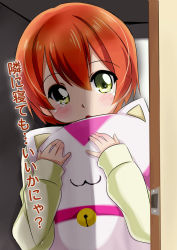 Rule 34 | 10s, 1girl, blush, breasts, cat-shaped pillow, commentary request, door, eyebrows, green eyes, holding, holding pillow, hoshizora rin, indoors, looking at viewer, love live!, love live! school idol project, orange hair, pillow, short hair, solo, tears, translation request, tsukasa 0913