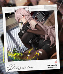 Rule 34 | 1girl, animal ears, bare shoulders, black skirt, blush, box, character name, copyright name, couch, covering own mouth, cowboy shot, dutch angle, elbow gloves, gift, gift box, girls&#039; frontline, girls&#039; frontline neural cloud, gloves, hair between eyes, highres, holding, holding gift, indoors, long hair, looking at viewer, official art, on couch, pantyhose, persicaria (neural cloud), pink eyes, pink hair, polaroid, ribbed shirt, shirt, sitting, skirt, sleeveless, sleeveless shirt, solo, valentine, vinegar kira, window blinds