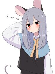 Rule 34 | 1girl, absurdres, alternate hairstyle, animal ears, arrow (symbol), blue capelet, blush, capelet, expressionless, grey capelet, grey hair, hair between eyes, highres, jewelry, kashiwa kona, long hair, long sleeves, looking to the side, mouse (animal), mouse ears, mouse girl, mouse tail, nazrin, necklace, pendant, red eyes, simple background, solo, tail, touhou, translation request, white background