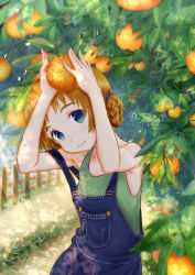 Rule 34 | 10s, 1girl, blue bow, blue eyes, bow, braid, casual, closed mouth, dappled sunlight, day, denim, dirt road, food, fruit, girls und panzer, grabbing, green shirt, hair bow, head tilt, highres, looking at viewer, orange (fruit), orange hair, orange pekoe (girls und panzer), outdoors, overalls, road, shirt, short hair, smile, solo, standing, strap slip, sunlight, tank top, tree, twin braids, upper body, yaoyasan