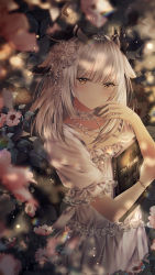 Rule 34 | 1girl, arknights, bangle, blurry, blurry foreground, blush, book, bracelet, brown eyes, choker, closed mouth, commentary request, depth of field, dress, feather hair, flower, hand up, highres, jewelry, junpaku karen, looking at viewer, hugging object, pink flower, ptilopsis (arknights), ring, short sleeves, silver hair, solo, white choker, white dress