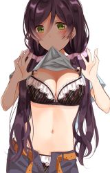 Rule 34 | 1girl, adjusting bra, adjusting clothes, belt, blush, bra, breasts, clothes in mouth, clothes lift, contrapposto, dress, frilled dress, frills, green eyes, hair tubes, highres, long hair, looking at viewer, love live!, love live! school idol project, low twintails, midriff, mogu (au1127), mouth hold, navel, pants, purple hair, scrunchie, shirt, shirt in mouth, shirt lift, simple background, solo, standing, t-shirt, tojo nozomi, twintails, underwear, unzipped, upper body, very long hair, white background