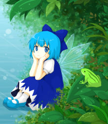 Rule 34 | 1girl, ankle socks, blue eyes, blue hair, bow, cirno, dress, dress shirt, flower, frog, hair bow, hands on own cheeks, hands on own face, ice, ice wings, leaf, looking at viewer, mary janes, matching hair/eyes, nature, petite, puffy short sleeves, puffy sleeves, shirt, shoes, short hair, short sleeves, sitting, smile, socks, solo, team shanghai alice, toriaezu shouyu, touhou, white socks, wings