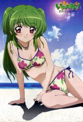 Rule 34 | 00s, 1girl, green hair, inukami!, long hair, red eyes, smile, solo, swimsuit, youko (inukami)