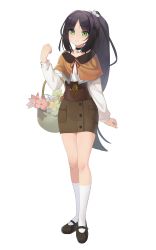 Rule 34 | 1girl, absurdres, ankle socks, basket, black footwear, black hair, breasts, brown skirt, buttons, capelet, choker, closed mouth, flower basket, full body, green eyes, highres, holding, holding basket, long hair, long sleeves, looking at viewer, mary janes, miniskirt, original, parted bangs, ponytail, rang go, shirt, shoes, sidelocks, skirt, small breasts, smile, socks, solo, standing, very long hair, white shirt, white socks