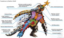 Rule 34 | anatomy, artist request, biology, brain, chart, cross-section, diagram, drill hand, godzilla (series), godzilla vs. megalon, heart, kaijuu, lungs, megalon, monster, official art, organs, science, science fiction, stomach, toho, translated, x-ray