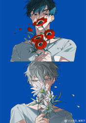 2boys alien_stage anemone_(flower) aqua_eyes black_eyes black_hair blue_background chinese_commentary commentary covered_mouth e_mo_ka edelweiss_(flower) flower grey_hair highres holding holding_flower ivan_(alien_stage) looking_at_viewer looking_down male_focus multiple_boys new_year red_flower red_pupils shirt short_hair short_sleeves simple_background till_(alien_stage) very_short_hair weibo_watermark weibo_username weibo_watermark white_flower white_shirt