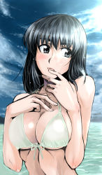 Rule 34 | 00s, 1girl, bikini, black eyes, black hair, breasts squeezed together, breasts, cosaten, finger to mouth, front-tie top, large breasts, original, school rumble, sky, solo, suou mikoto (school rumble), swimsuit, water, wet
