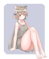 Rule 34 | 10s, 1boy, :3, animal ears, arm support, bare arms, bare legs, bare shoulders, barefoot, blue ribbon, blush, bob cut, border, bow, brown dress, brown hair, cape, cat boy, cat ears, closed mouth, collarbone, commentary request, dot nose, dress, eyelashes, feet, felix argyle, full body, hair between eyes, hair bow, hair ribbon, half-closed eyes, hand on own leg, highres, knees together feet apart, knees up, light smile, looking at viewer, male focus, orange eyes, outside border, parted bangs, rags, raised eyebrows, re:zero kara hajimeru isekai seikatsu, ribbon, shiny skin, short dress, short eyebrows, short hair, silver background, simple background, sleeveless, sleeveless dress, solo, striped ribbon, thick eyebrows, thick thighs, thighs, toes, tonitorus, torn clothes, torn dress, trap, white border, white bow