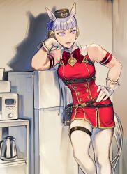 Rule 34 | 1girl, absurdres, animal ears, armband, bare shoulders, belt pouch, bow, bowtie, buttons, double-breasted, dress, gloves, gold ship (umamusume), highres, horse ears, horse girl, horse tail, indoors, kettle, kitchen, leaning on object, long hair, looking to the side, lvnp, microwave, pantyhose, pillbox hat, pouch, purple eyes, red bow, red bowtie, red dress, refrigerator, short dress, sleeveless, sleeveless dress, solo, tail, tall, tall female, thigh strap, umamusume, white gloves, white hair, white pantyhose