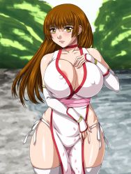 Rule 34 | 1girl, breasts, brown eyes, brown hair, cleavage, covered erect nipples, dead or alive, highres, huge breasts, kasumi (doa), kunoichi, large breasts, long hair, no bra, no panties, revealing clothes, solo, tagme, tecmo, water beryl