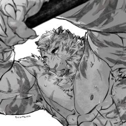 Rule 34 | 1boy, abs, animal ears, arknights, armpits, arms up, bara, biceps, bounsies, completely nude, furry, furry male, greyscale, highres, large pectorals, male focus, monochrome, mountain (arknights), muscular, muscular male, nipples, nude, pants, pectorals, scar, scar across eye, scar on face, short hair, solo, spot color, stomach, sweat, tiger boy, tiger ears, white fur, white hair, white pants