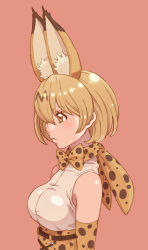 Rule 34 | 1girl, animal ear fluff, animal ears, animal print, blonde hair, blouse, bow, bowtie, breasts, closed mouth, extra ears, hair between eyes, highres, kemono friends, medium breasts, pink background, serval (kemono friends), serval print, shirt, short hair, simple background, sleeveless, sleeveless shirt, solo, tanuki koubou, traditional bowtie, upper body, white shirt, yellow eyes