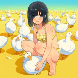 Rule 34 | 1girl, animal, bare arms, bare legs, bare shoulders, barefoot, bikini, bird, black hair, blue sky, blush, breasts, closed eyes, commentary request, ddal, duck, eyes visible through hair, feathers, goose, gradient sky, green sky, hair over one eye, highres, holding, holding animal, horizon, looking at viewer, original, parted lips, plaid, plaid bikini, shadow, sky, small breasts, smile, solo, squatting, swimsuit, white feathers