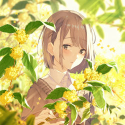 Rule 34 | 1girl, blurry, blurry background, blush, branch, brown cardigan, brown eyes, brown hair, cardigan, collared shirt, commentary request, depth of field, dress shirt, flower, fujiwara mizuki, hair ornament, hairclip, hand up, looking at viewer, original, parted lips, shirt, short hair, solo, upper body, white shirt, yellow flower