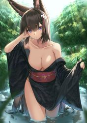 Rule 34 | 1girl, absurdres, amagi (azur lane), animal ears, arm up, azur lane, bare shoulders, black kimono, blush, breasts, brown hair, cleavage, closed mouth, collarbone, commentary, day, english commentary, eyeshadow, fox ears, hand in own hair, highres, huge filesize, japanese clothes, kimono, kitsune, kyuubi, large breasts, light rays, long hair, long sleeves, looking at viewer, lordol, makeup, multiple tails, naked kimono, obi, off shoulder, open clothes, open kimono, outdoors, pinching sleeves, plant, purple eyes, sash, solo, sunbeam, sunlight, tail, thighs, very long hair, wading, water, wide sleeves