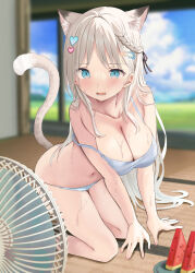 Rule 34 | 1girl, akino ell, animal ears, bare arms, bare legs, bare shoulders, blue eyes, blue sky, blurry, blurry background, blush, braid, breasts, cat ears, cat girl, cat tail, cleavage, cloud, cloudy sky, commentary request, day, depth of field, electric fan, fang, food, fruit, grey hair, hair ornament, hairclip, heart, heart hair ornament, highres, indoors, large breasts, long hair, navel, open mouth, original, panties, parted bangs, plate, sky, solo, strap slip, sweat, tail, tatami, underwear, underwear only, very long hair, watermelon, watermelon slice, white panties