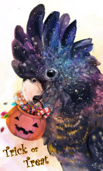 Rule 34 | absurdres, bird, candy, cockatoo, feathers, food, halloween, highres, pumpkin, purple theme, trick or treat, yu (dryads)