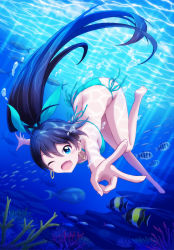 Rule 34 | 1girl, air bubble, antenna hair, barefoot, bikini, black hair, blue eyes, breasts, breath, bubble, coral, diving, earrings, fang, fish, freediving, ganaha hibiki, halterneck, high ponytail, highres, holding breath, idolmaster, idolmaster (classic), jewelry, long hair, md5 mismatch, medium breasts, ocean, one eye closed, open mouth, outsider 0, ponytail, resolution mismatch, side-tie bikini bottom, smile, solo, source smaller, string bikini, swimming, swimsuit, underwater, v, wink