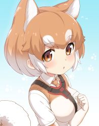 Rule 34 | 10s, 1girl, :o, animal ears, blue background, blush, breast pocket, breasts, brown eyes, brown gloves, brown neckwear, brown vest, collared shirt, dog (shiba inu) (kemono friends), dog girl, elbow gloves, extra ears, flying sweatdrops, gloves, gradient background, gradient hair, hand up, highres, japari symbol, kemono friends, light brown hair, looking at viewer, medium breasts, multicolored background, multicolored clothes, multicolored gloves, multicolored hair, necktie, open mouth, paw pose, paw print, paw print background, pocket, ransusan, round teeth, shirt, short hair, short sleeves, tail, tareme, teeth, two-tone background, two-tone hair, upper body, upper teeth only, vest, white background, white gloves, white hair, white shirt, white vest