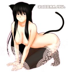 Rule 34 | 00s, 1girl, animal ears, asahimaru, black hair, breasts, breasts squeezed together, cat ears, cat tail, genshiken, large breasts, long hair, mole, mole under eye, nipples, oono kanako, solo, tail, thighhighs, translation request