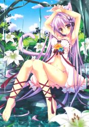 Rule 34 | 1girl, absurdres, animal ears, ankle lace-up, armpits, arms up, barefoot, bracelet, breasts, cat ears, cat tail, cleavage, cross-laced footwear, dress, feet, flower, forest, frilled panties, frills, highres, jewelry, legs, light purple hair, long hair, medium breasts, mouth hold, nail polish, nanaroba hana, nature, navel, original, panties, pantyshot, pink panties, purple hair, scan, sitting, soaking feet, solo, tail, underwear, yellow eyes