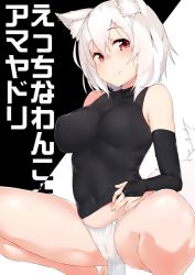 Rule 34 | 1girl, animal ears, breasts, bridal gauntlets, cameltoe, covered erect nipples, covered navel, inubashiri momiji, large breasts, red eyes, short hair, smile, solo, spread legs, squatting, tail, tera zip, touhou, translation request, white hair, wolf ears, wolf tail
