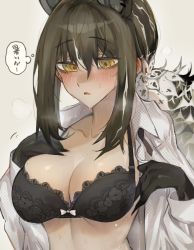 Rule 34 | 1girl, animal ears, animal hands, arknights, black bra, black hair, blush, bra, breasts, brown eyes, cleavage, commentary request, dress shirt, kaguura (kagu), large breasts, long hair, long sleeves, open clothes, open mouth, open shirt, polka dot, polka dot shirt, raccoon ears, raccoon girl, robin (arknights), shirt, solo, sweat, translation request, underwear, upper body, white shirt