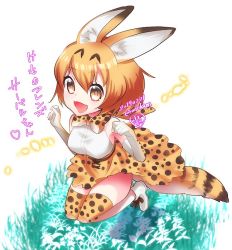 Rule 34 | 10s, 1girl, animal ears, blonde hair, cat ears, cat tail, dated, kemono friends, looking at viewer, ooha maiko, serval (kemono friends), serval tail, simple background, smile, solo, tail, yellow eyes