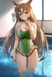 Rule 34 | 1girl, absurdres, animal ears, bad id, bad pixiv id, blush, breasts, brown eyes, brown hair, closed mouth, commentary request, covered navel, green one-piece swimsuit, hair ribbon, highres, horse ears, horse girl, huge filesize, indoors, large breasts, long hair, looking at viewer, minttchocok, one-piece swimsuit, partially submerged, pool, ribbon, satono diamond (umamusume), smile, solo, standing, swimsuit, umamusume, wading, water, wet, white ribbon