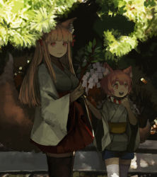 Rule 34 | 2girls, animal ears, character request, check character, commentary request, cowboy shot, height difference, highres, holding, long hair, long sleeves, looking at viewer, miniskirt, multiple girls, orange eyes, orange hair, oshiro project:re, outdoors, plant, sara manta, senko (oshiro project), shade, short hair, short shorts, shorts, skirt, smile, standing, tail, thighhighs, tsubasa (oshiro project), wide sleeves