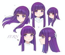 Rule 34 | 1girl, blunt bangs, blush, character name, closed mouth, cropped shoulders, fern (sousou no frieren), highres, long hair, multiple views, netapai1, pout, profile, purple eyes, purple hair, sousou no frieren