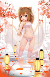 Rule 34 | 1girl, animal ears, bare shoulders, bow, bra, brown eyes, brown hair, character request, collarbone, flower, full body, gloves, hair bow, hair flower, hair ornament, highres, ice laozei, kneehighs, lace, lace gloves, lantern, lantern on liquid, long hair, low tied hair, navel, panties, paper lantern, parted lips, smile, socks, solo, standing, standing in water, strapless, thighhighs, tree, underwear, w arms, wading, warship girls r, water, white bra, white gloves, white panties, white socks, white thighhighs