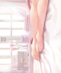 Rule 34 | 1girl, absurdres, arknights, barefoot, bed sheet, butuo (butuo13), cat tail, dakimakura (medium), feet, feet only, flower, goldenglow (arknights), highres, indoors, legs, lying, nail polish, on bed, on side, pink flower, pink rose, rose, solo, tail, toenail polish, toenails, toes, vase, window