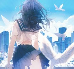 Rule 34 | 1girl, absurdres, bird, city, from behind, highres, patch oxxo, realistic background, school uniform, serafuku, solo