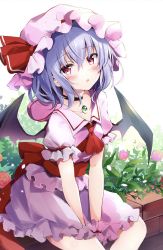 Rule 34 | 1girl, ascot, bat wings, black choker, blue hair, blush, breasts, brooch, choker, collarbone, commentary request, dress, feet out of frame, flower, hair between eyes, hat, hat ribbon, head tilt, highres, hyurasan, jewelry, leaf, looking at viewer, mob cap, orange flower, orange rose, parted lips, petals, pink dress, pink eyes, pink flower, pink hat, pink rose, puffy short sleeves, puffy sleeves, red ascot, red flower, red ribbon, red rose, red sash, remilia scarlet, ribbon, rose, sash, short hair, short sleeves, sitting, small breasts, solo, thighs, touhou, v arms, white background, wings, wrist cuffs