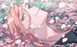 Rule 34 | 1boy, androgynous, aqua eyes, artist name, cherry blossoms, commentary request, ear piercing, eyelashes, hair between eyes, hair down, hua (supa jopa), in water, long hair, looking at viewer, lying, male focus, on back, parted bangs, parted lips, partially submerged, petals, piercing, pink hair, sanzu haruchiyo, scar, scar on face, scar on mouth, sidelocks, sideways glance, solo, swept bangs, tokyo revengers, twitter username, water, watermark