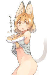 Rule 34 | 10s, 1girl, animal ears, apupuru, bottomless, clothes lift, cowboy shot, elbow gloves, flying sweatdrops, from side, gloves, kemono friends, orange eyes, orange hair, serval (kemono friends), serval print, serval tail, shirt, shirt lift, simple background, sleeveless, sleeveless shirt, solo, tail, translated, undressing, white background