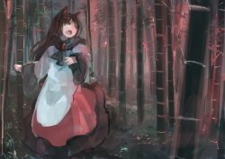 Rule 34 | 1girl, animal ears, bamboo, bamboo forest, brooch, brown eyes, brown hair, forest, ichiba youichi, imaizumi kagerou, jewelry, long sleeves, nature, open mouth, shirt, skirt, solo, touhou, werewolf, wide sleeves, wolf ears