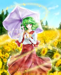 Rule 34 | 1girl, ascot, blue sky, blurry, buttons, cloud, day, depth of field, female focus, flower, green hair, highres, horizon, kazami yuuka, leaf, light particles, lips, long sleeves, looking at viewer, parasol, parted lips, petals, plaid, plaid skirt, plaid vest, red eyes, short hair, skirt, sky, solo, sunflower, touhou, tree, tsukiori sasa, umbrella, vest, wind